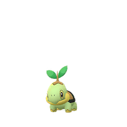 Sinnoh - 0387 - Turtwig